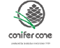 conifer cone
